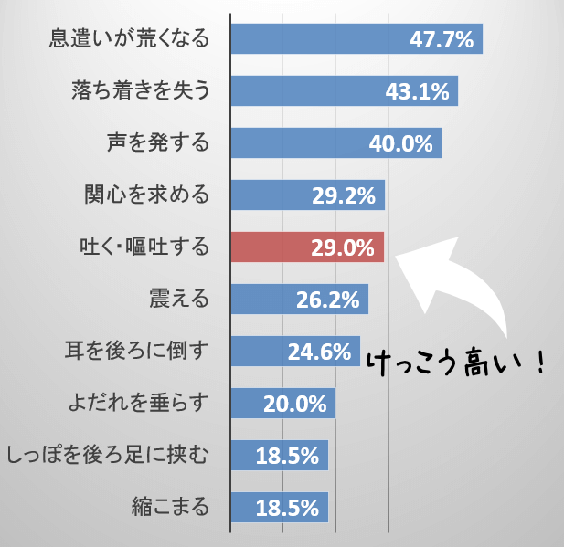 車酔いする犬がよく示す行動や症状