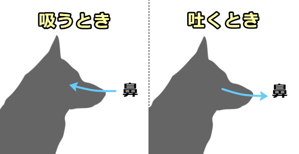 犬の呼吸パターン～鼻から息を吸って鼻から出す