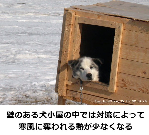 壁で仕切られた犬小屋の中では対流によって寒風に奪われる熱が少なくなる