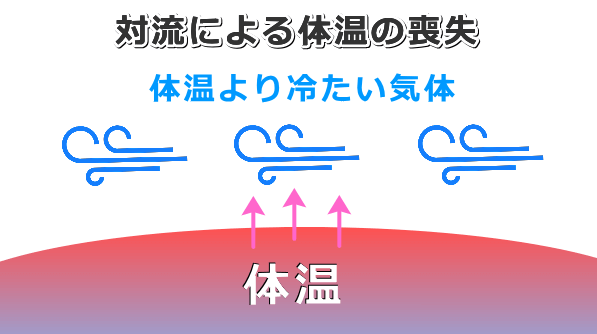 「対流」による熱移動の模式図