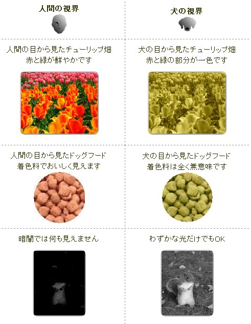 犬と人間の識別できる色には差があるため、犬は人間と全く違った色世界に生きていると考えられます。