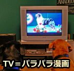 動きの識別能力であるフリッカー融合頻度に関し、犬は人間を凌駕している。だから連続した映像として見えるテレビも、犬の目にはパラパラマンガのように見えている可能性がある。